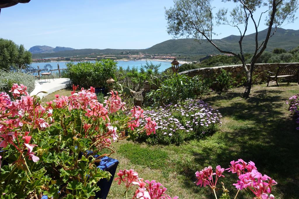 Domus De Rocas Holiday House Villa Porto Rotondo Exterior photo